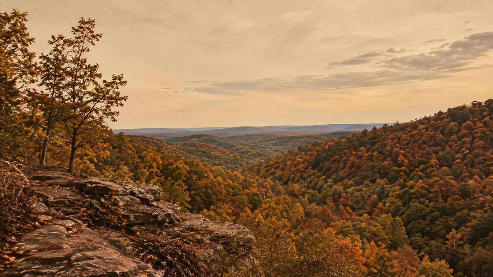Mammoth Cave National Park
