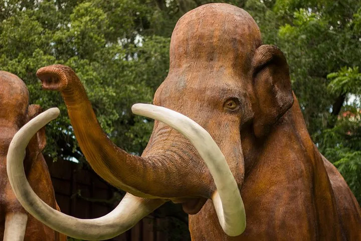 Een groot, bruin mammoetmodel met witte slagtanden is buiten tussen de bomen te zien.